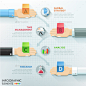 Business Hands Teamwork Infographics - Infographics 