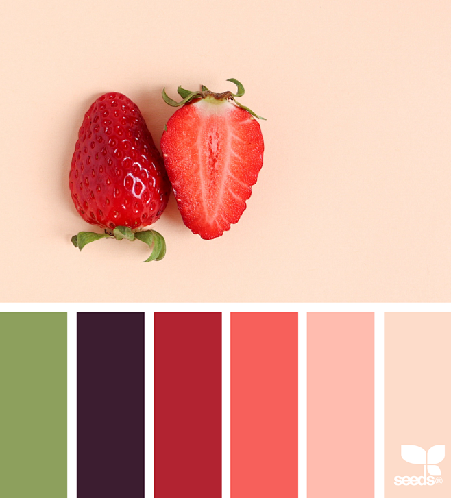 配色----草莓
