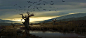 Assassin's Creed Odyssey Swamp, Wavenwater Michael Guimont : Here's a concept I've done during my time at Ubisoft Quebec for Assassin's Creed Odyssey. <br/>I was exploring a swamp regions for the biome team.<br/>Art director: <a class="