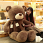 可爱泰迪熊猫布娃娃公仔毛绒玩具睡觉抱抱熊玩偶女孩情人节送女友-tmall.com天猫