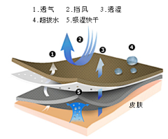 致-电商采集到详情页素材