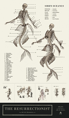 Jonathan-Wu采集到Anatomy