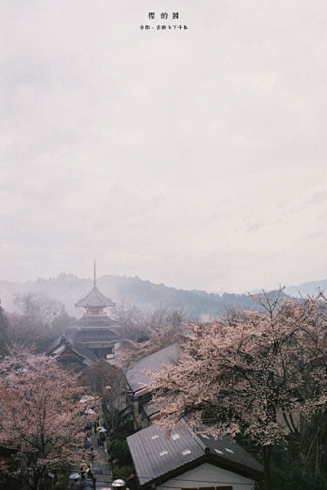 京都回想的残片记忆（下） - 悦旅行专栏
