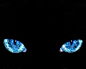 猫的眼睛的搜索结果_百度图片搜索