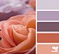 rose hues