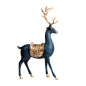 鹿—木小白