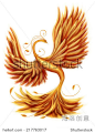 Magic firebird on a white background