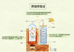 翔丶兲采集到产品卖点