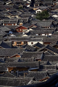 長鯉采集到● 一蓑烟雨任平生 ●