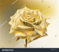 Gold Rose.
Hand drawn vector illustration of an open rose with glowing petals made of gold .
