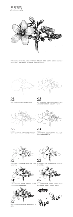 绘客采集到【黑白画技法教程】