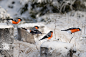 Jumping by Jørn Allan Pedersen on 500px