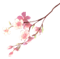 唯美古风水彩手绘粉色桃花桃树树木花朵花瓣花枝PNG免抠设计素材
