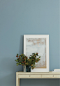 Clare | Interior Paint | Good Jeans
