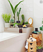 'Shower plants' will give you the perfect Insta-worthy bathroom : Your plants will thank you.