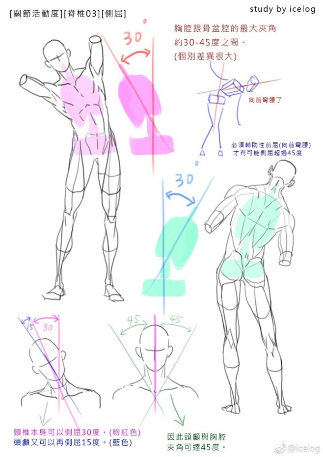 [結構筆記] [1.脊椎活動度] [2....