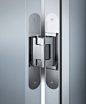 Tectus invisible hinges from Simonswerk: 