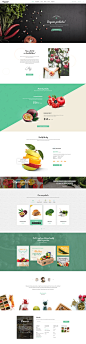 Organici - Organic Store PSD Template : Organici is the premium PSD template for Organic Food Shop. Built especially for any kind of organic store: Food, Farm, Cafe…, Organici brings in the fresh interface with natural and healthy style. The template incl