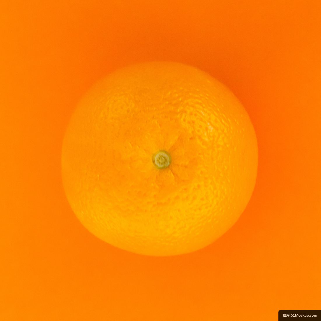 1d16f6937c403e34f3fb83df24fc3695c7249292bc6e-7jJPEr