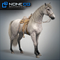 3D Horses Animated by NoneCG