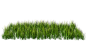 多种草丛免抠PNG透明图片素材