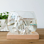 水中山创意玻璃小鱼缸 时尚透明圆形斗鱼缸 简约桌面生态金鱼缸