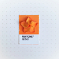 配對一下，生活中的Pantone色票 » ㄇㄞˋ點子 : 來自平面設計師 Inka Mathew 的「Tiny Pms Match」是一組源於生活的 Pantone 創意發揮，起因於一朵花園中的藍色小花與對色彩的求知慾，讓 Inka Mathew 展開了這一系列的靈感揮灑。