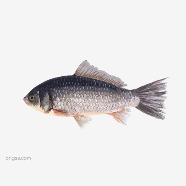 1d2f9465588e47792b112734e69e6ddea14cc8c94fe2-e9OJz3