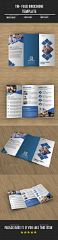 Corporate Tri- Fold Brochure  - Corporate Brochures