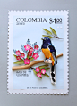 3D鸟类邮票