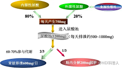 加州旅馆采集到运动·健康·生化