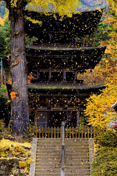 _牛右炒面_采集到场景——自然景观 