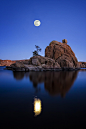 tect0nic:

Bonsai Serenity by Danilo Faria via 500px.
