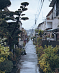 雨后日本的街道