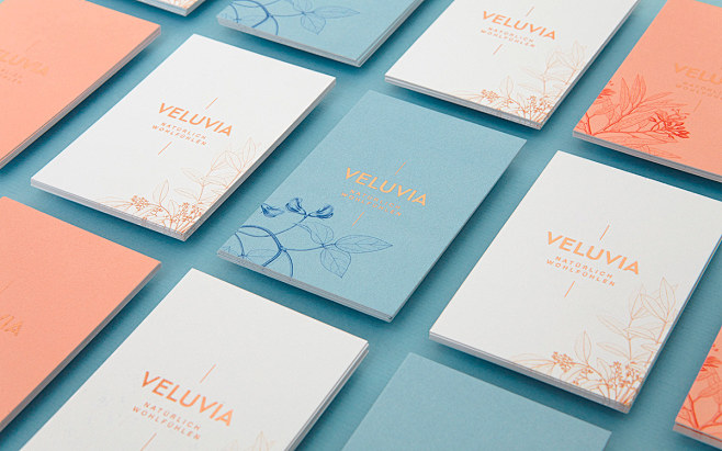 VELUVIA : Branding a...