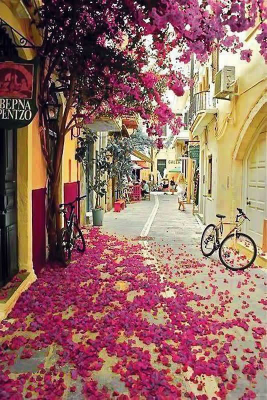 美麗的希臘。 #街景#