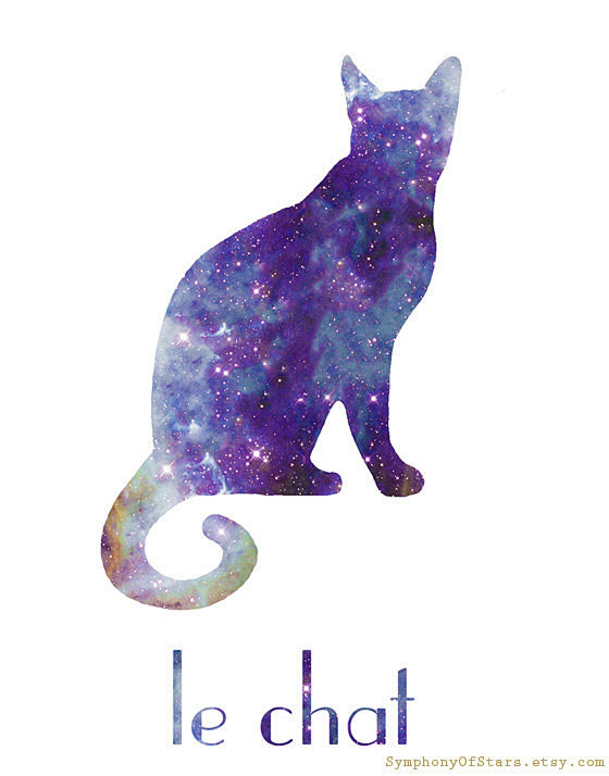 Cat III Galaxy Unive...