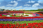 迪拜奇迹花园耗费4500万株鲜花 据英国《每日邮报》报道，迪拜奇迹花园是迪拜最大的户外休闲度假胜地，也被称为世界上最美的花园。迪拜奇迹花园的建造耗费了4500万株鲜花，是现在世界最大的花园。目光所及，色彩缤纷，其明艳的花朵装饰着一周长长的围墙以及长达4千米的蹊径，在日光下灿烂生辉。园内4500万株鲜花分为各种不同的主题，不少花种更是第一次出现在中东地区种植。