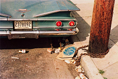 麻吉MAQI采集到威廉·埃格尔斯顿(William Eggleston）