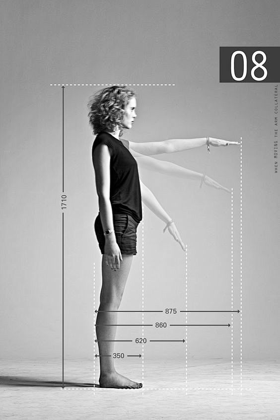 人体工程学。人体的各种活动姿势尺寸数据图...