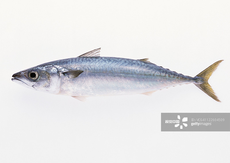 1e415b53966007c0abc573f17bff4655d1e5ec2c10156-qJcFCp