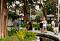 1111_Lincoln_Road-Raymond_Jungles-04-Steven-Brooke-Photography « Landscape Architecture Works | Landezine