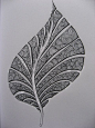 Leaf.  Like the concept for other shapes also.  Good use of negative space to define the form.