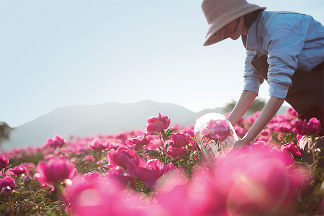 Mamonde Brand Book |...