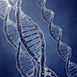 精美的DNA基因高清图片 - 素材中国16素材网