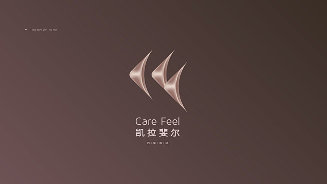 care feel branding d...