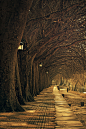 Lantern Walk, Ponte de Lima, Portugal