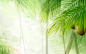 幻彩植物花卉背景 [第6张] | 1920×1200 | 设计、幻彩植物花卉背景 | 清风桌面 www.winddesktop.com