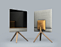 Red Dot Design Award for Design Concepts : Modular Television