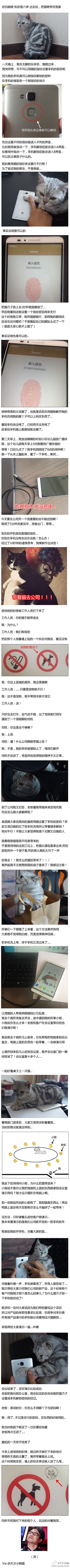 千万不要用猫设置手机解锁密码.........